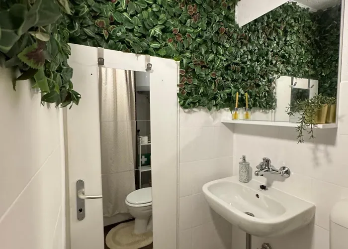 Oh La La Old Town Ρόβινι